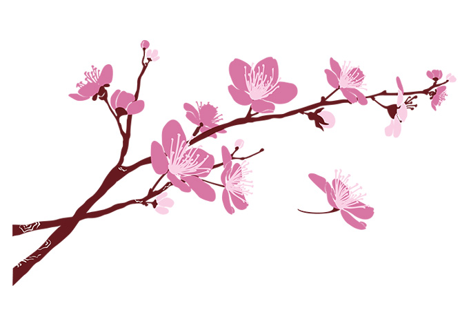 Cherry Blossom Branches