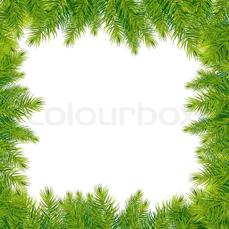 Christmas Tree Branch Border