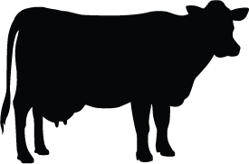 Cow Silhouette Vector Free