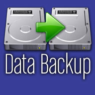 Data Backup Icon