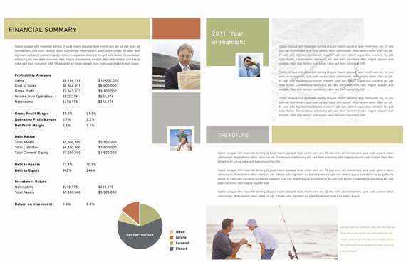 Free Annual Report Design Templates