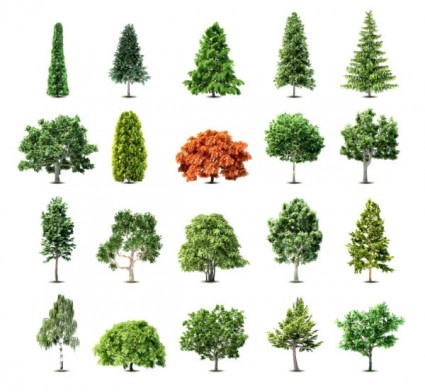 Free Vector Trees