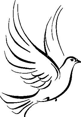 Holy Spirit Dove Drawing