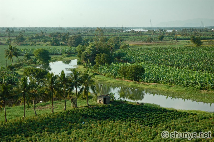 India Landscape