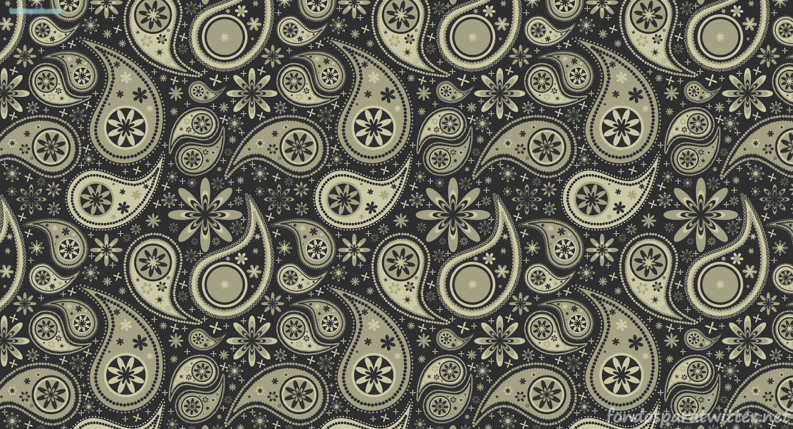 Indian Paisley Pattern