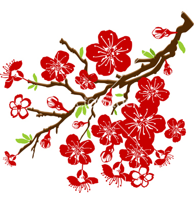 Japanese Cherry Blossom Vector