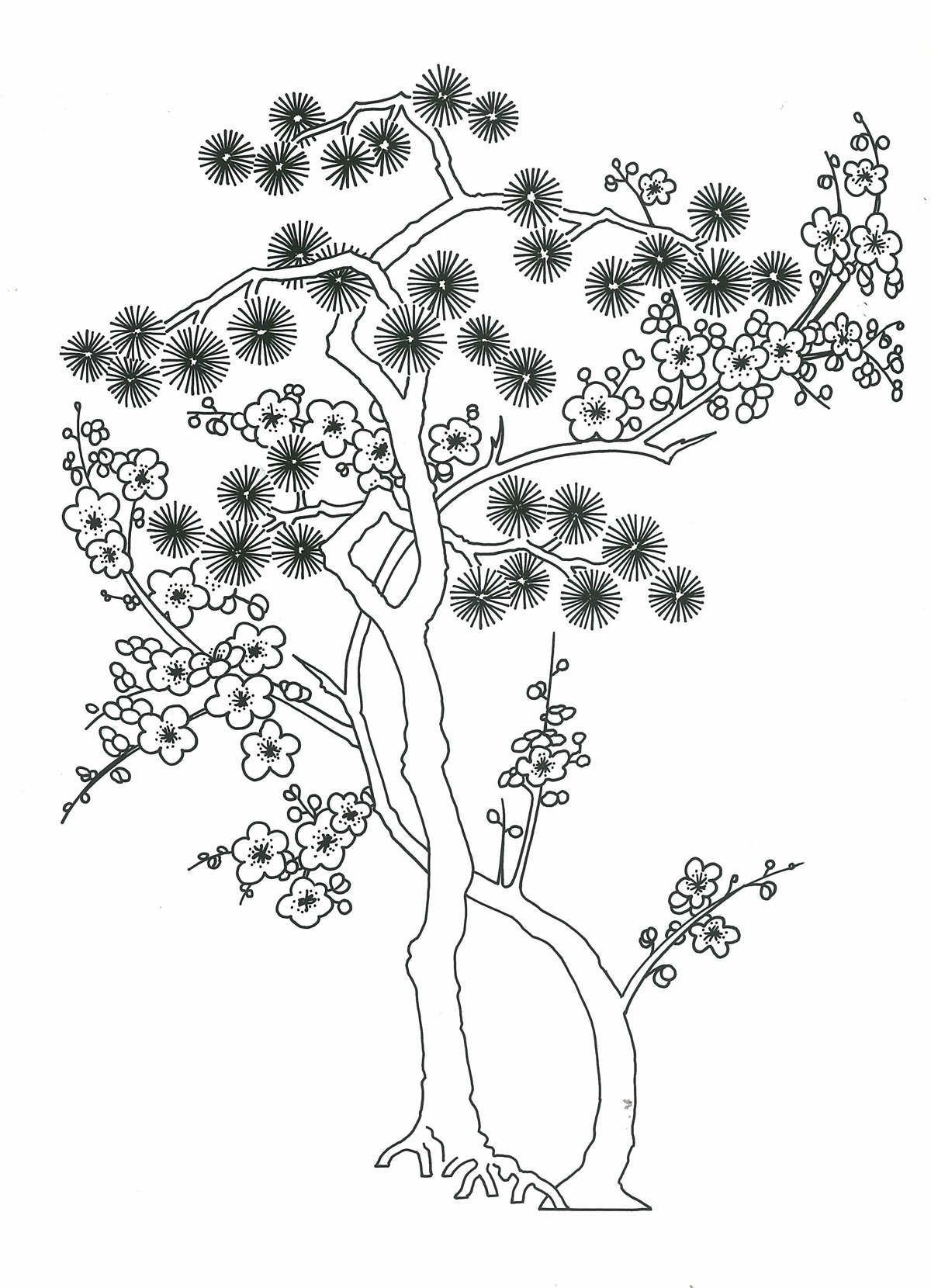 13 Free Floral Design Books Images - Dover Adult Coloring Pages, Free