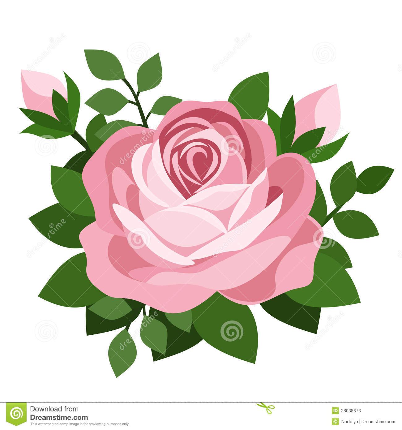 Pink Rose Vector Illustration