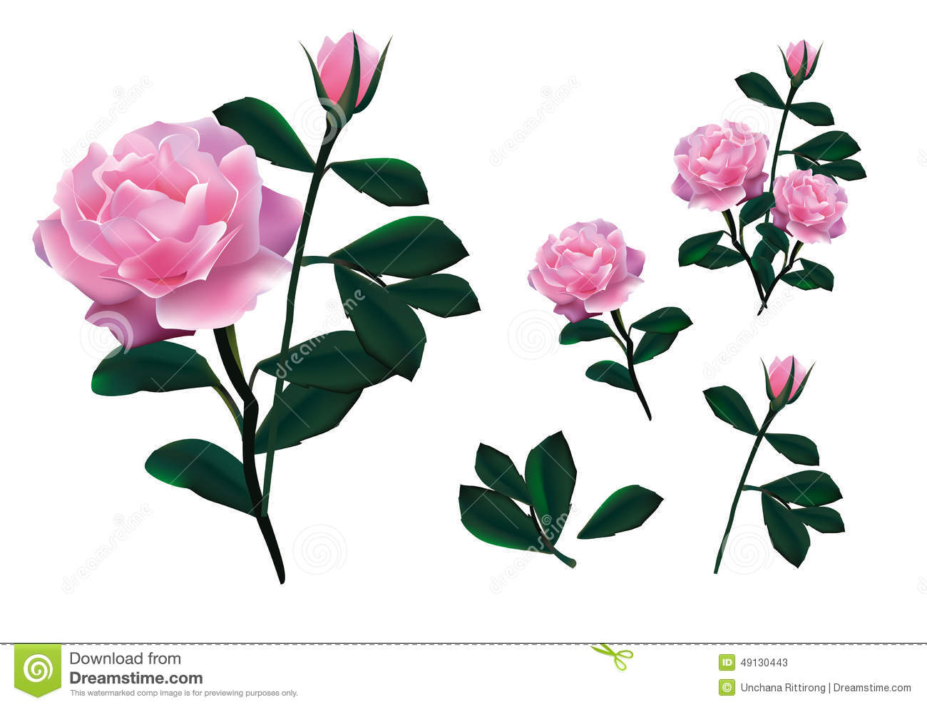 Pink Roses Vector Background Designs