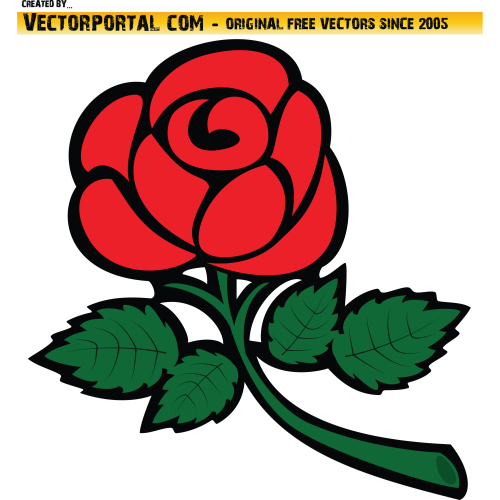 Red Rose Vector