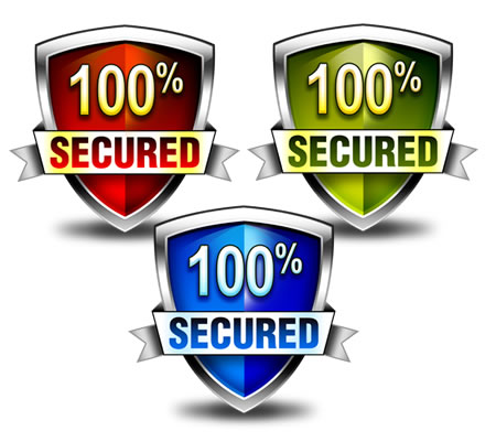 Security Badge Icon