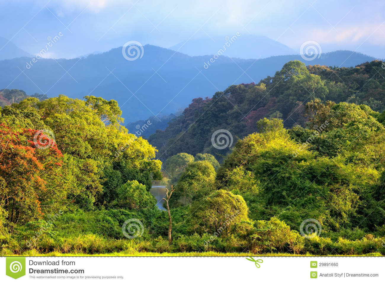 Southern India Landscape Southern India Landscape
