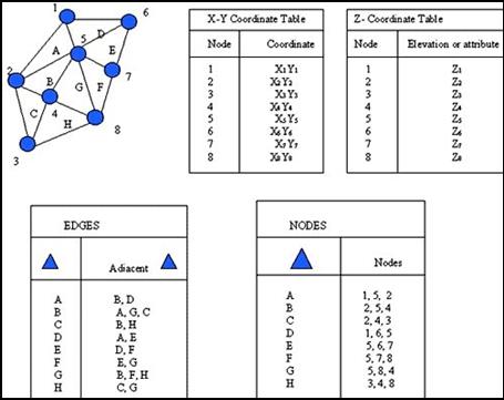 Tin Data Model