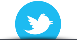 Twitter Circle Icon