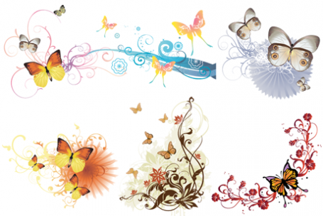 Vector Butterfly Wings