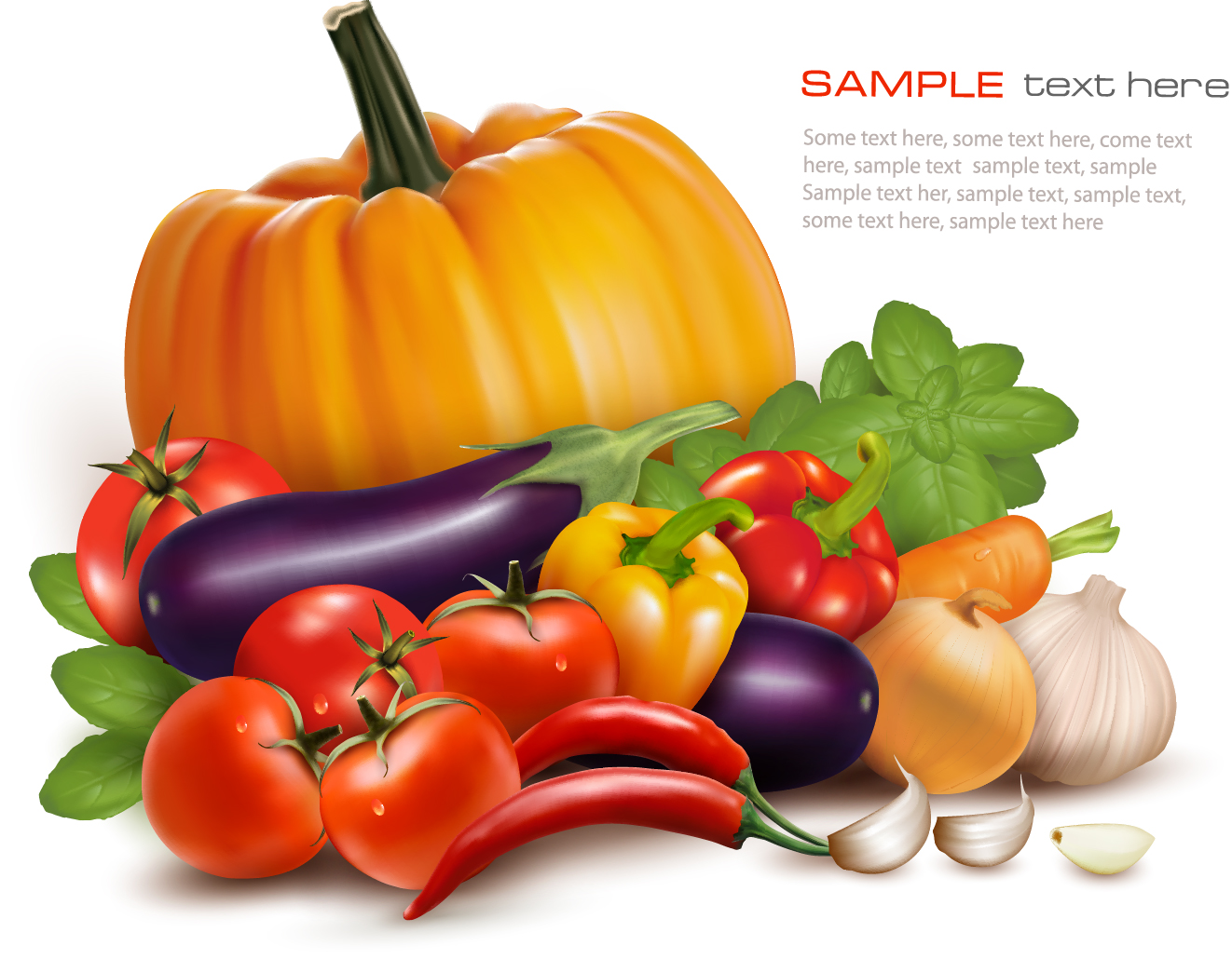 Vegetable Vector Vegetable Vector