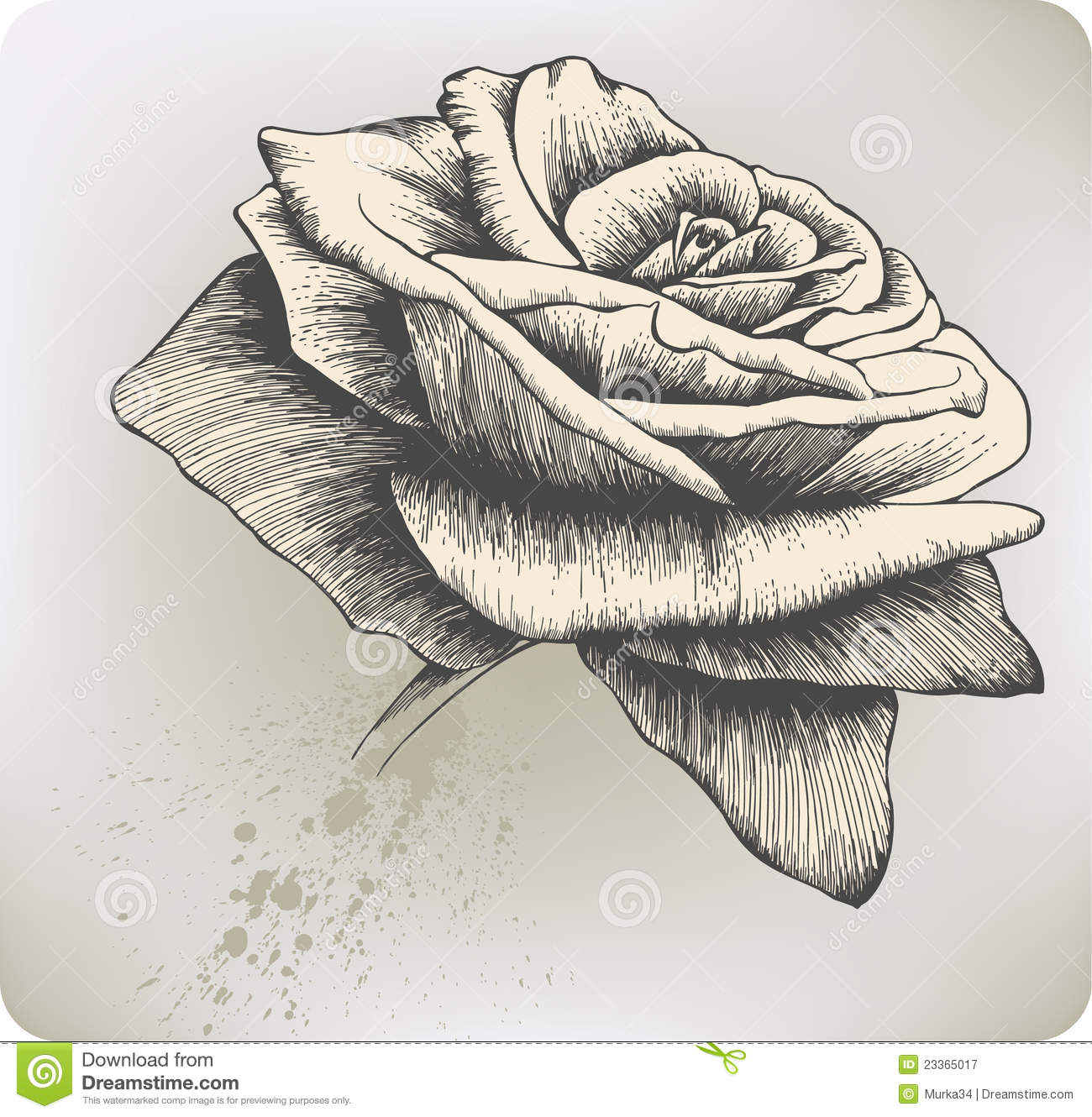 Vintage Rose Vector Illustration