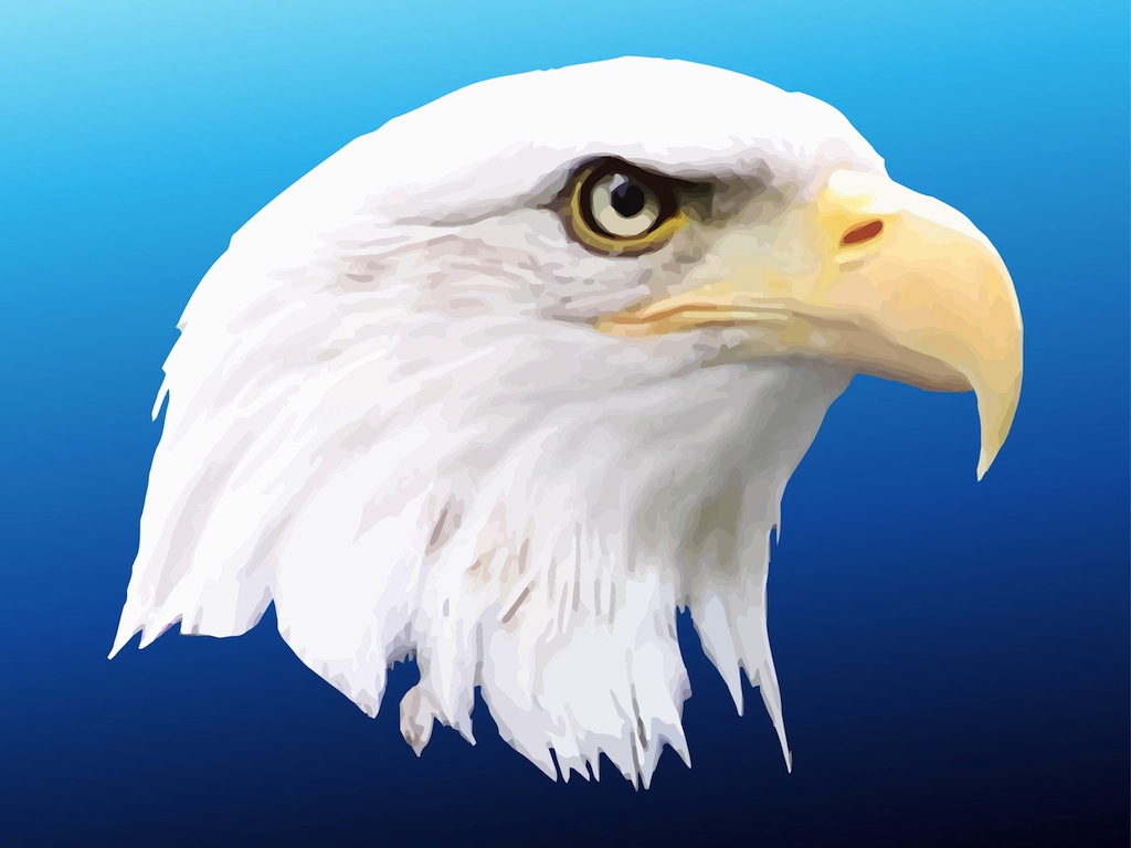 American Eagle Head