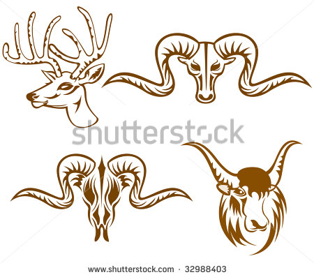 Animal Art Goat Heads