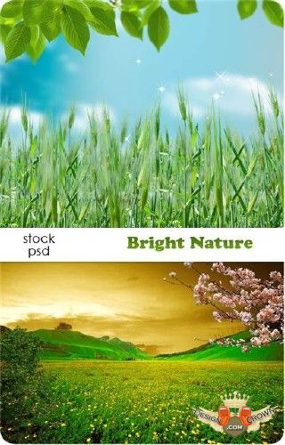Beautiful Backgrounds for Photoshop