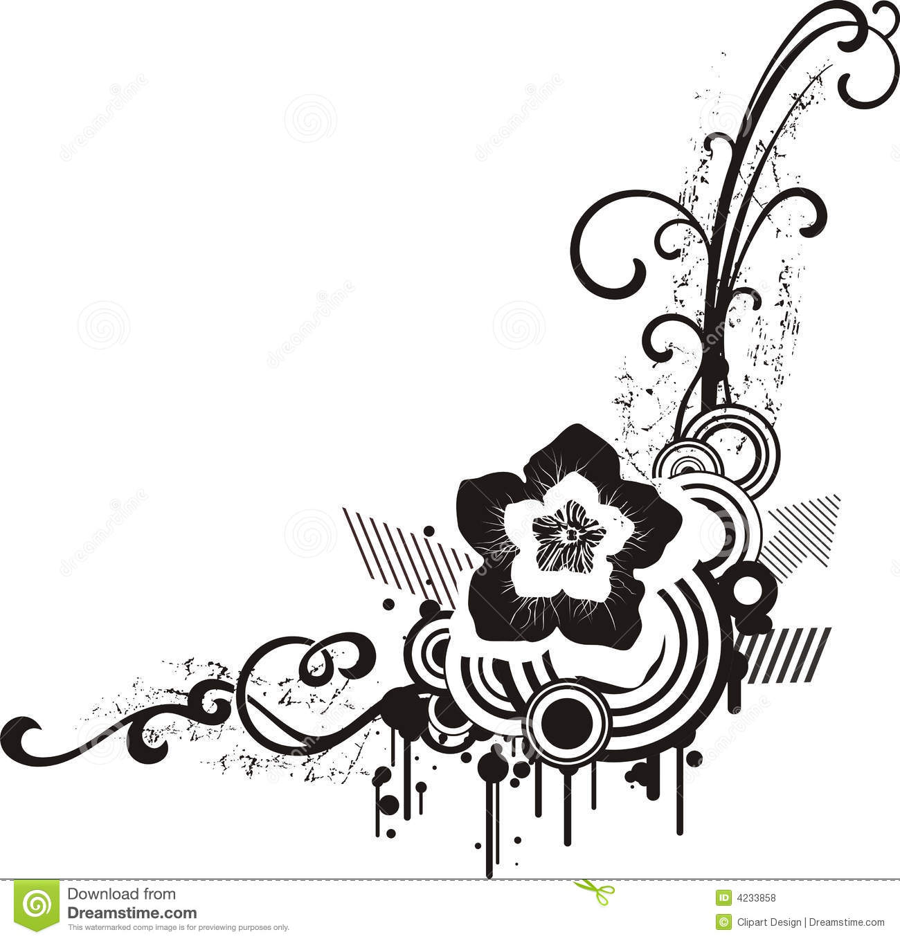 Black and White Floral Designs