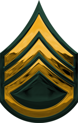 13 PSD Detail Army Rank Images