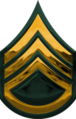 Chrome U.S. Army Rank