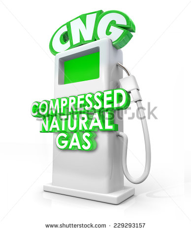 Compressed Natural Gas Pump