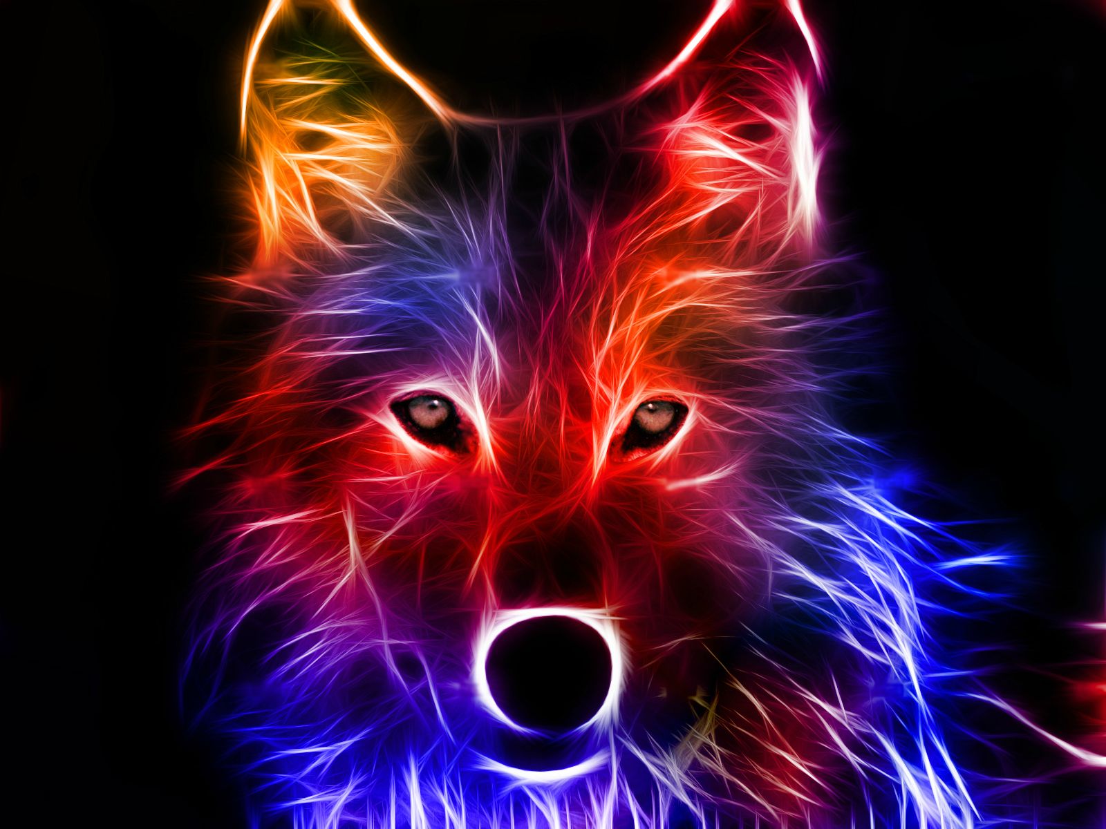 Cool Neon Wolves Cool Neon Wolves