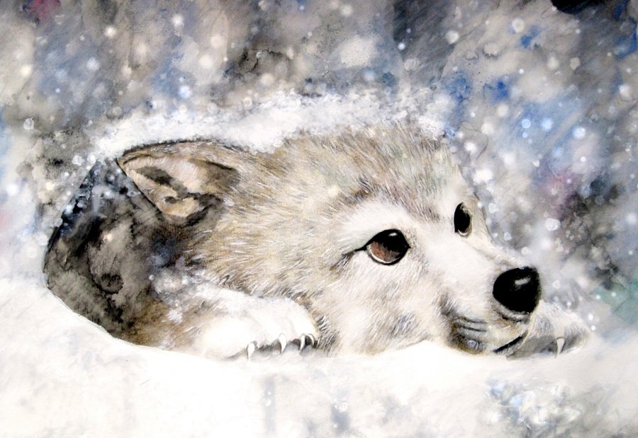 15 Simple Cute Snow Wolf Icon Images