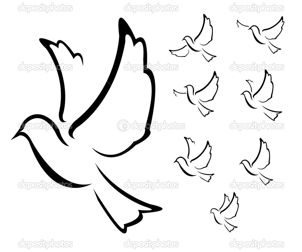 Dove Vector