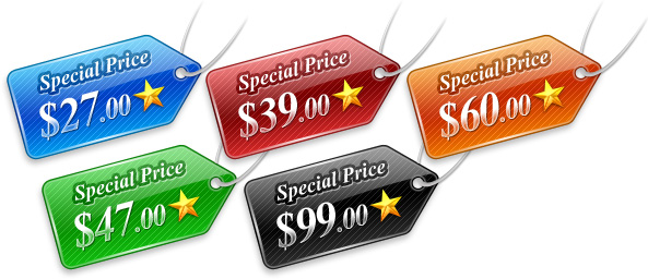 Examples of Premium Pricing Examples of Premium Pricing