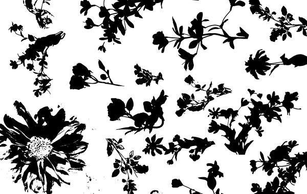 Floral Silhouette Vector