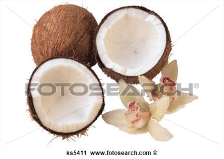 Food Groups Clip Art Food Groups Clip Art
