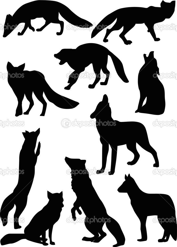 Fox and Wolf Silhouette Fox and Wolf Silhouette