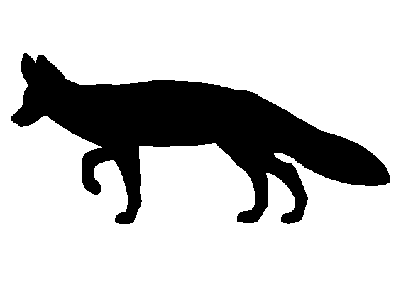 Fox Silhouette