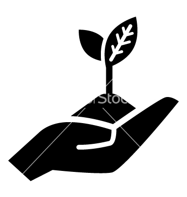 Growth Icon Vector