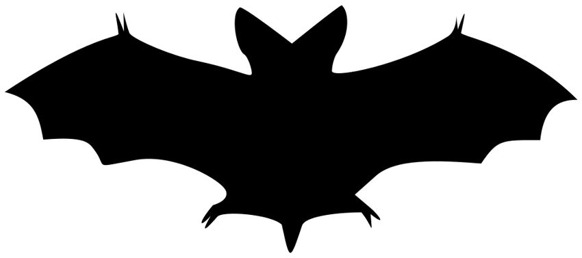 Halloween Black Bat Clip Art