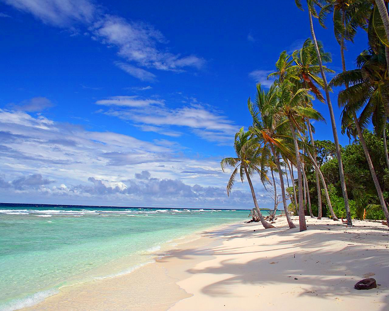 Hawaii Tropical Beaches