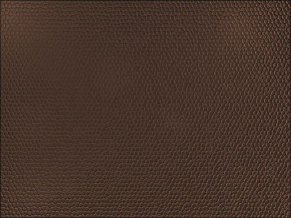 13 Leather Texture Photoshop Tutorial Images