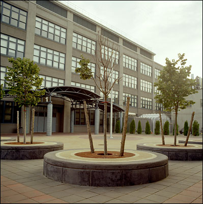 Long Island City High School