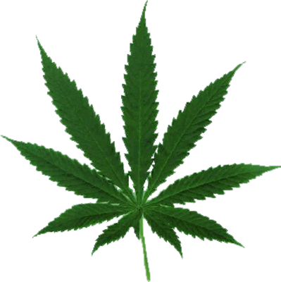 Marijuana Leaf