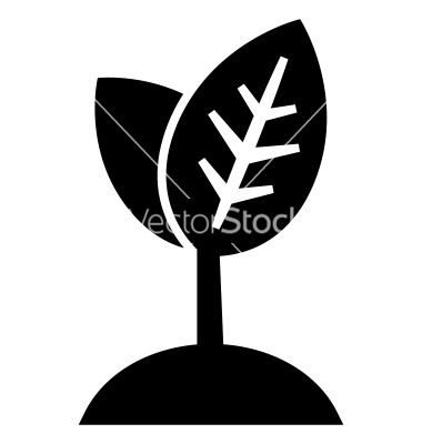 Plant Growth Icon