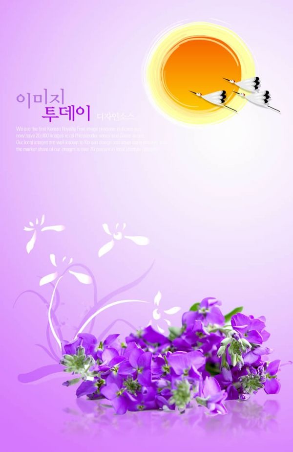 9 PSD Sun Flowers Images