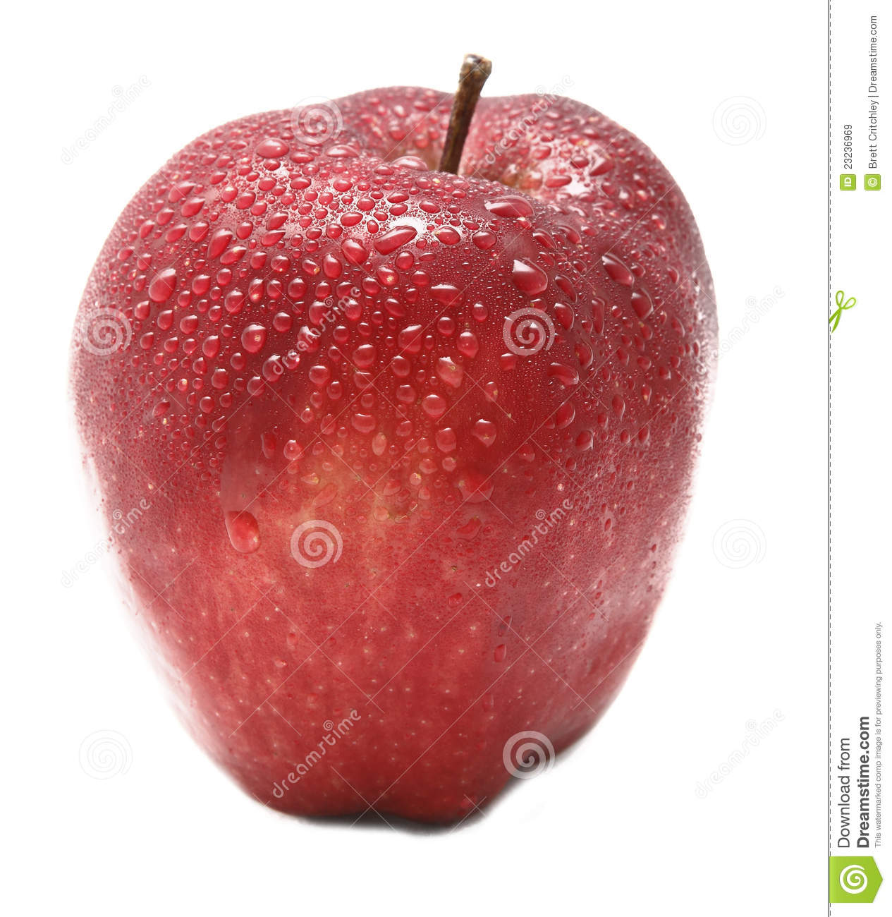 Red Apple Fruit