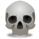 Skull Icon ICO