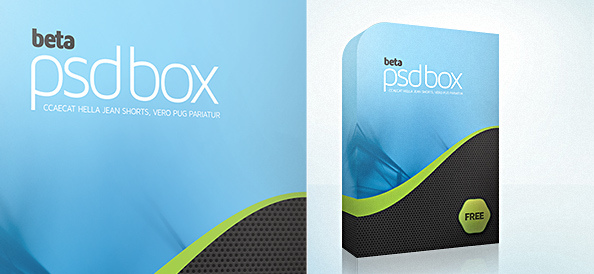 Software Box PSD Template