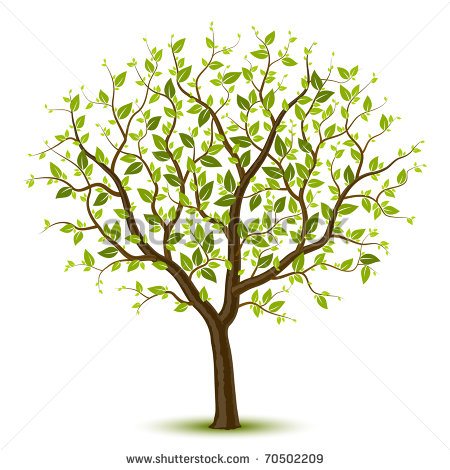 Spring Tree Vector