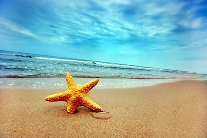 Starfish Beach