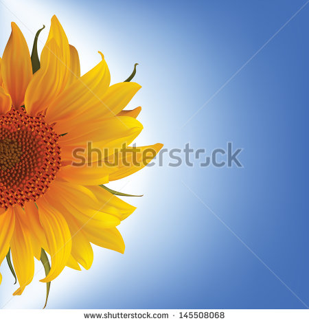 Sunflower Blues Yellow Flowers